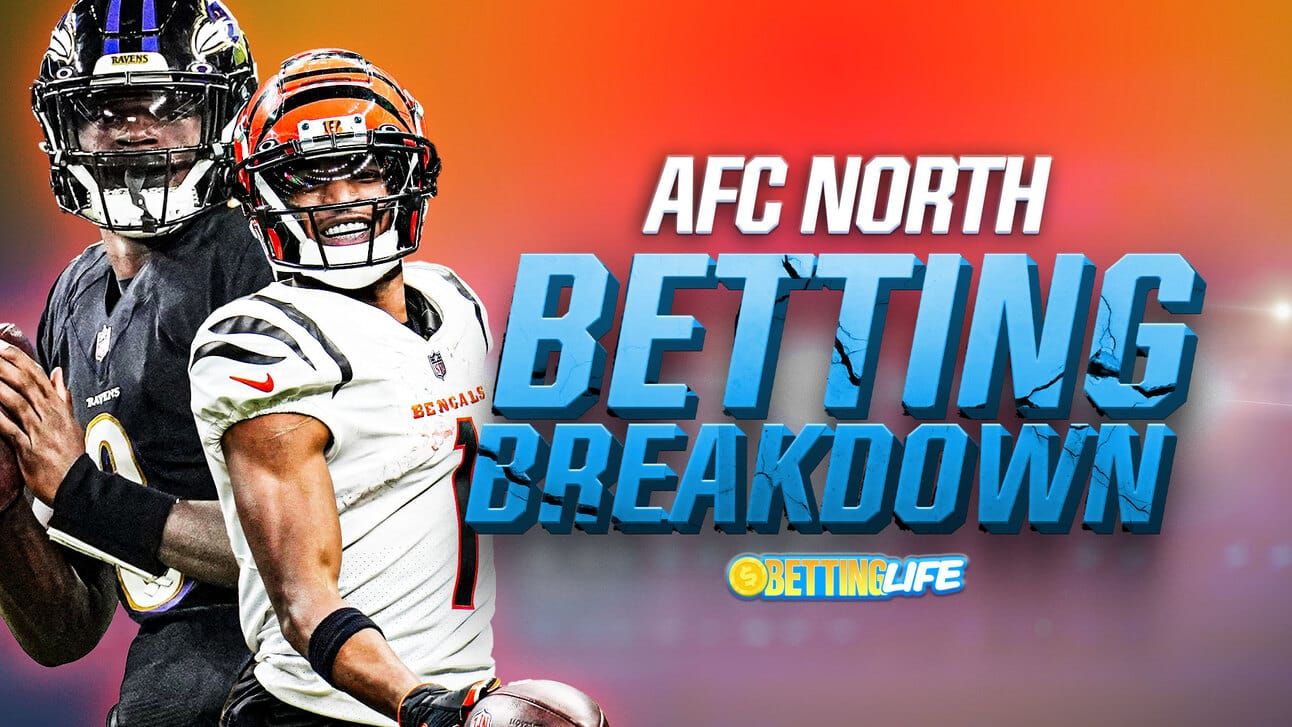 AFC North Betting Breakdown Betting Life