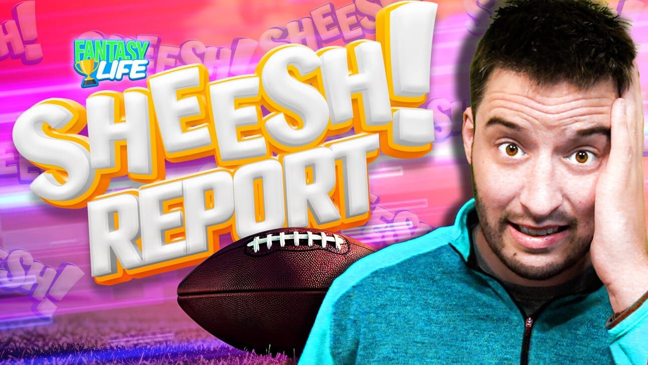 Fantasy Life Sheesh! Report