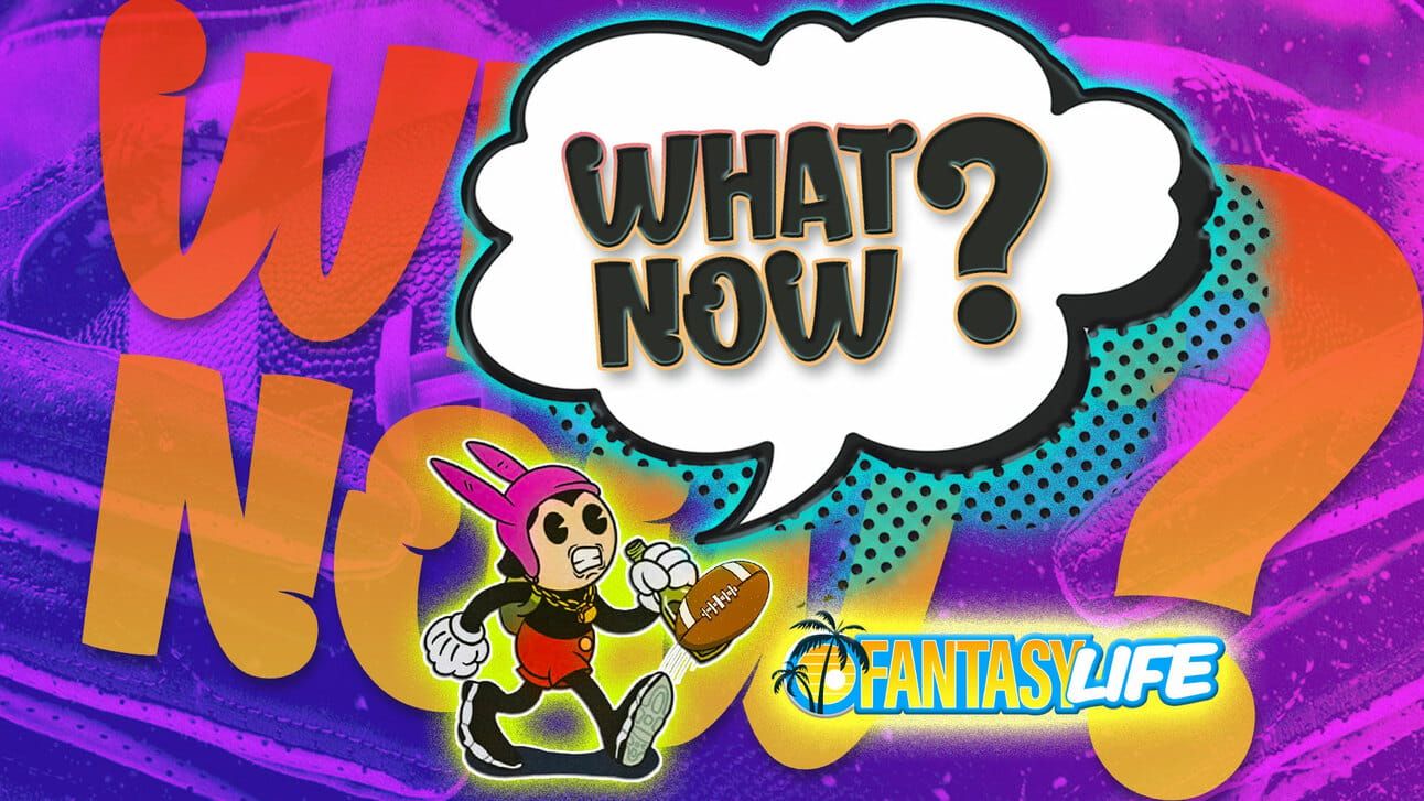 Fantasy Life What now