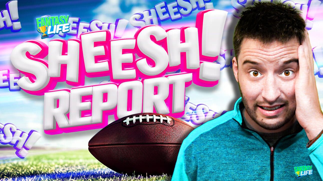 Fantasy Life Sheesh! Report