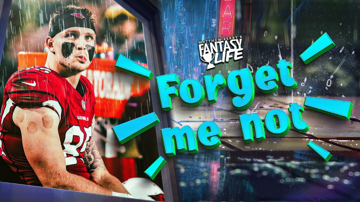 Forget Me Not McBride