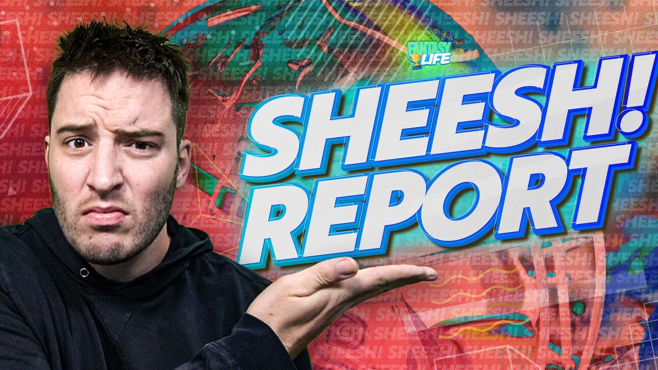 Fantasy Life Sheesh! Report