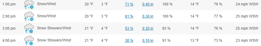 Orchard Park forecast