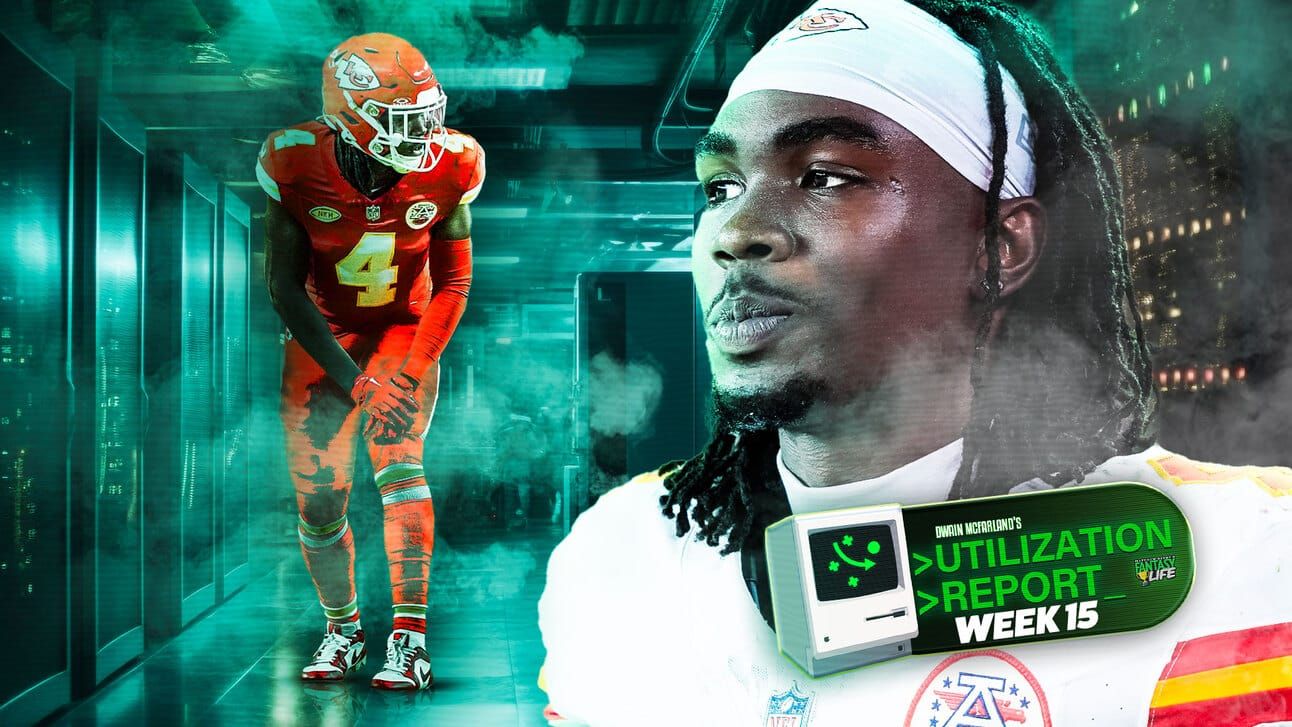 Fantasy Life Utilization Report