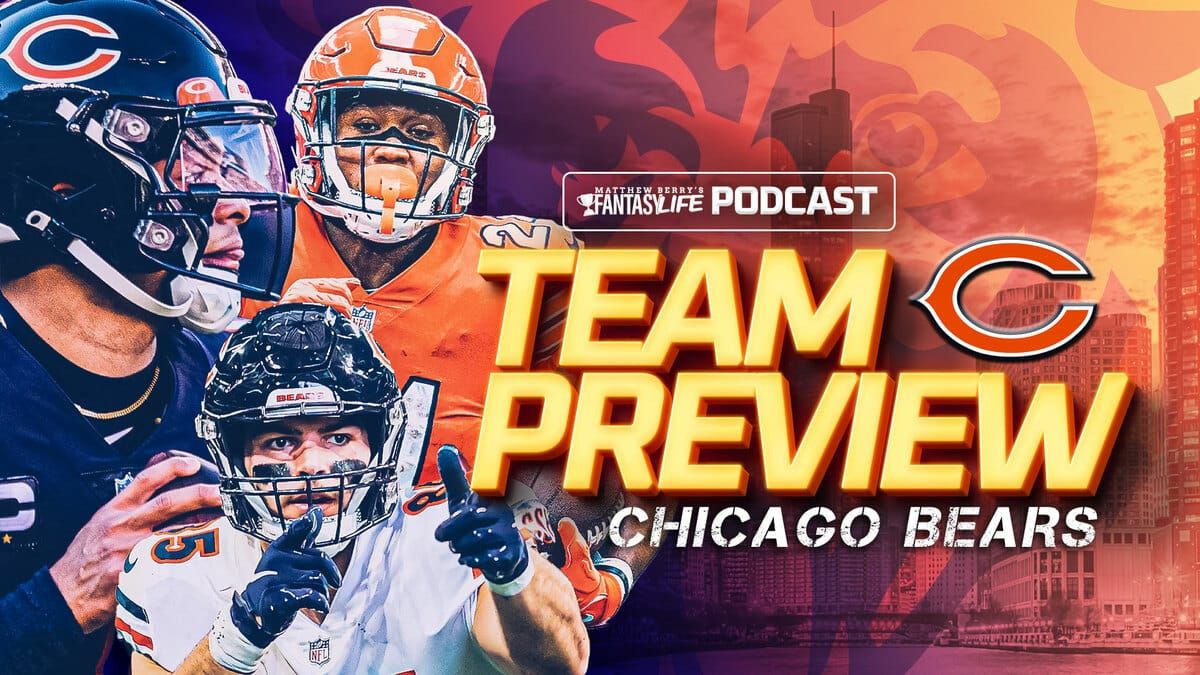 bears preview image