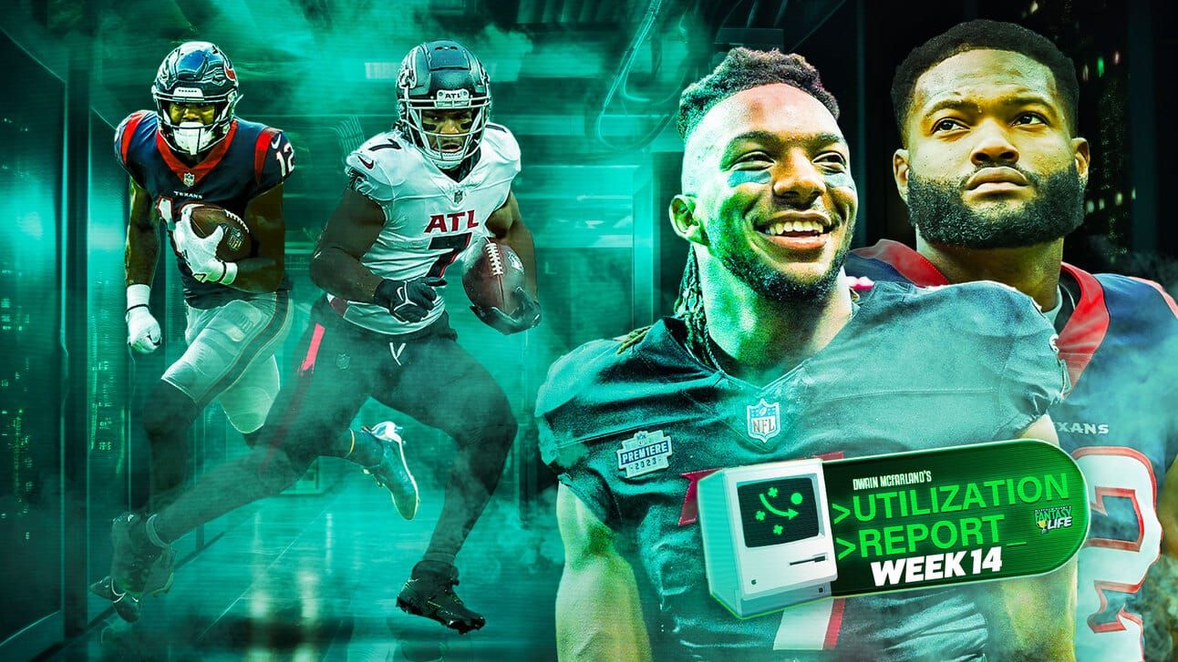 Fantasy Life Utilization Report